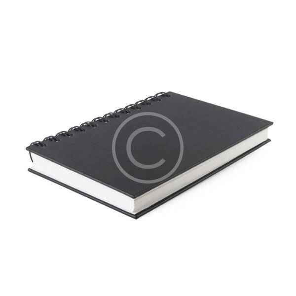 Day Book